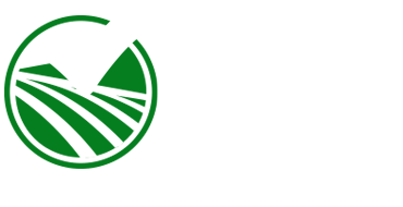 logo_ValueDiscovery